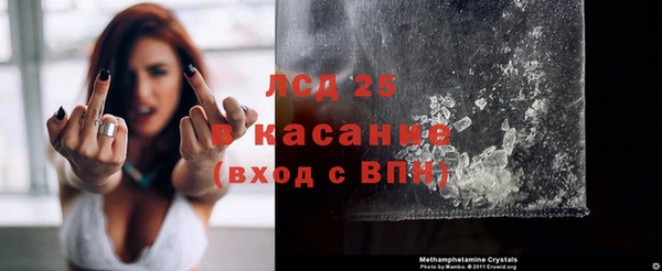 бошки Бородино