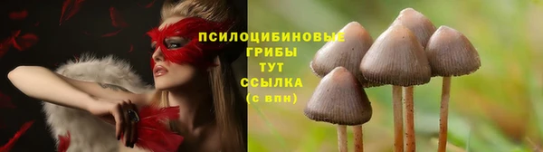 спиды Верея